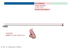 Simple Present, State Verbs and Verbs of Perception, Slide 7