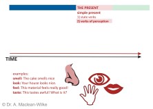 Simple Present, State Verbs and Verbs of Perception, Slide 10