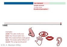 Simple Present, State Verbs and Verbs of Perception, Slide 11